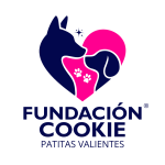 LOGO FCPV (Post para Instagram (45))